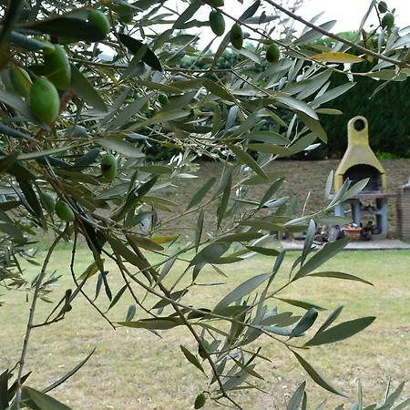 Bauernhof Casale Montemoro