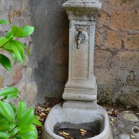 Farm stay Casale Montemoro Allerona