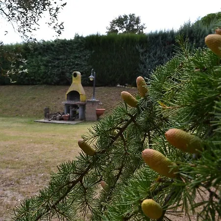 Casale Montemoro Bauernhof Allerona